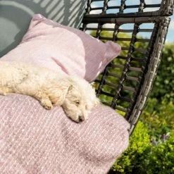 Maze Rattan Riviera Garden Deep Seated Chair in Grey -Rattan Garden Furniture Shop FU101342 add image 1 537c