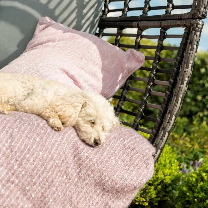 Rattan Garden Furniture Shop -Rattan Garden Furniture Shop FU101342 add image 1 537c